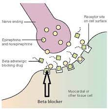 beta-blocker1